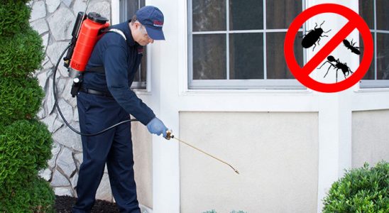 Gültepe Akrep İlaçlama böcek ilaçlama ve haşere kontrolü — ilaclama-tr.com
